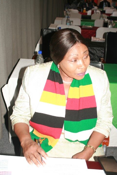 Zimbabwe Building Contractors Association