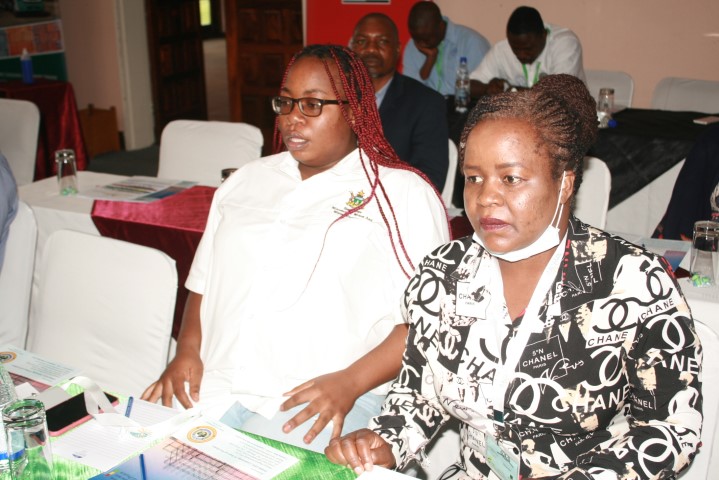 Zimbabwe Building Contractors Association